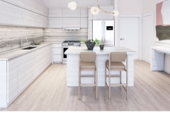 Arbor- Kitchen Rendering